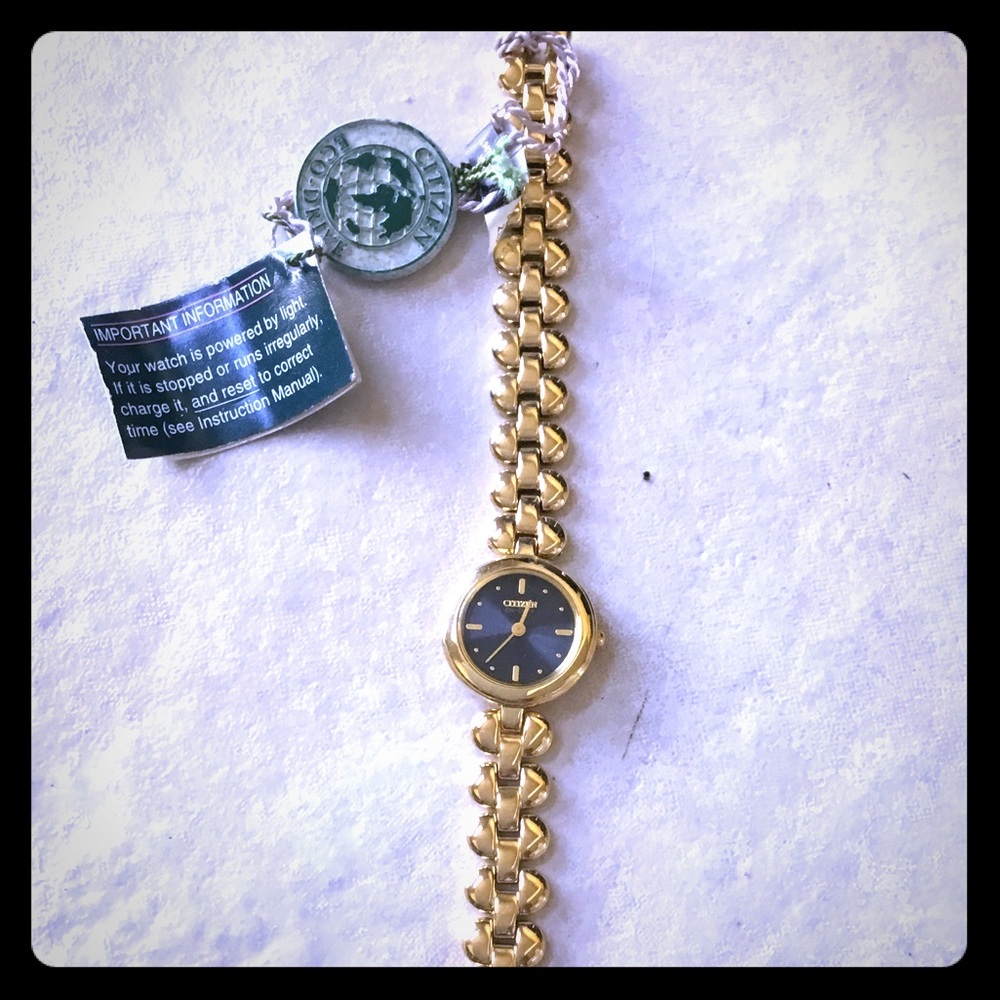 Citizen Women's Gold Tone Watch with Black Face